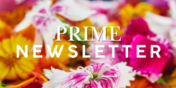 PRIME Newsletter title on bright floral background