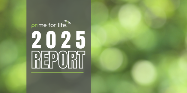 2025 Report Title