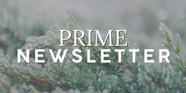PRIME Newsletter
